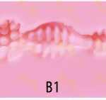 Irontech Vagina inner B1