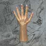 SE Articulated fingers +120$